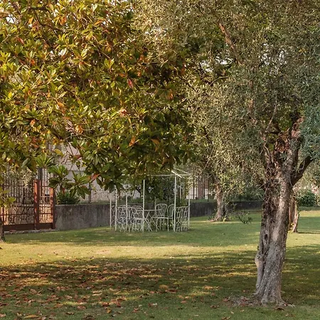 Hotel Angela Olympic Garda Lake Toscolano Maderno