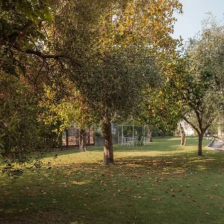 Angela Olympic Garda Lake Hotel 3*